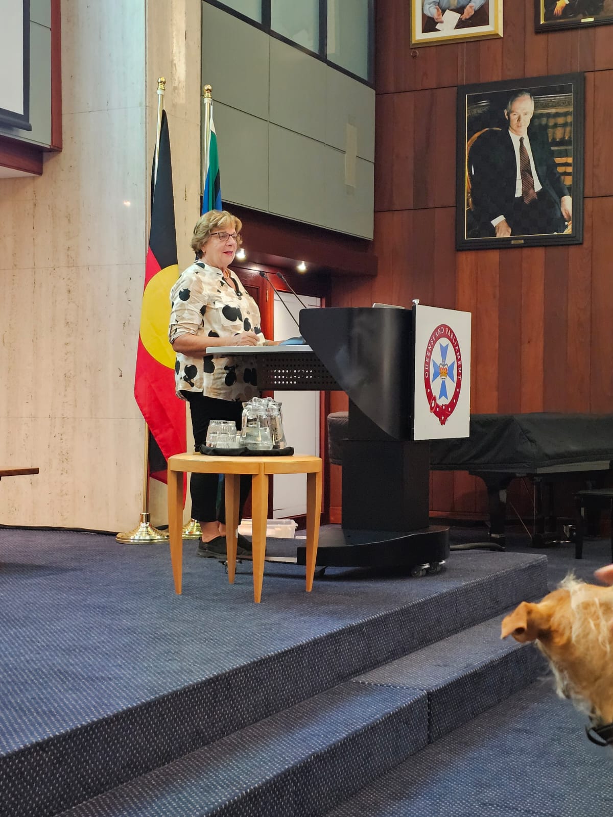 IFDSD Brisbane 2025 Speaker Robyn Jorgensen and Audience (002)